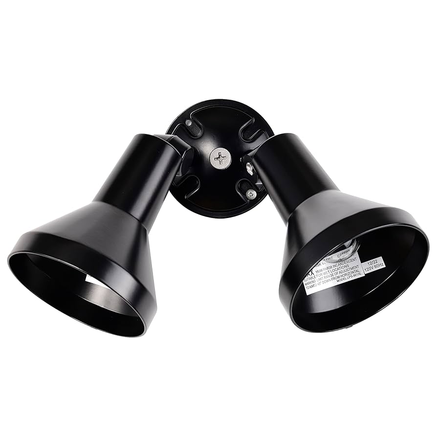 Nuvo Lighting SF77/701 Two Light Outdoor Heavy Duty Cast